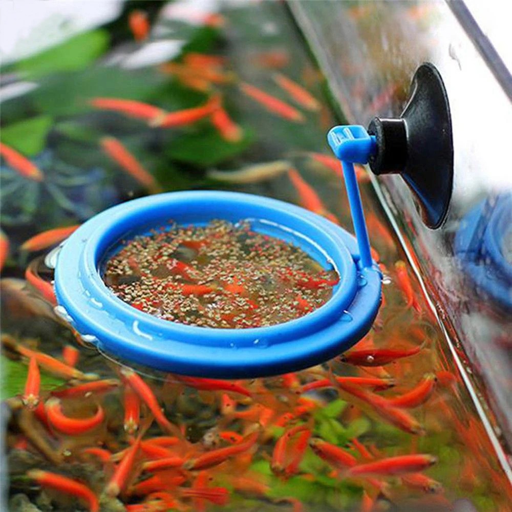 Aquarium Plant Nutrients - Nuovo anello di alimentazione per acquario