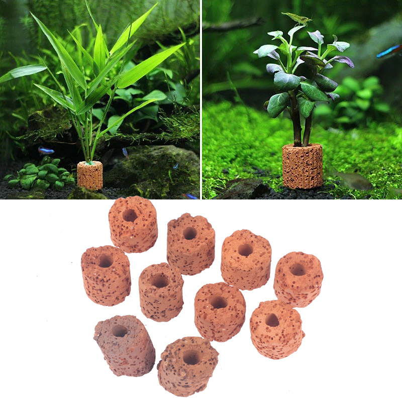 Aquarium Planted Tank Setup - Mini anello per piante acquatiche da