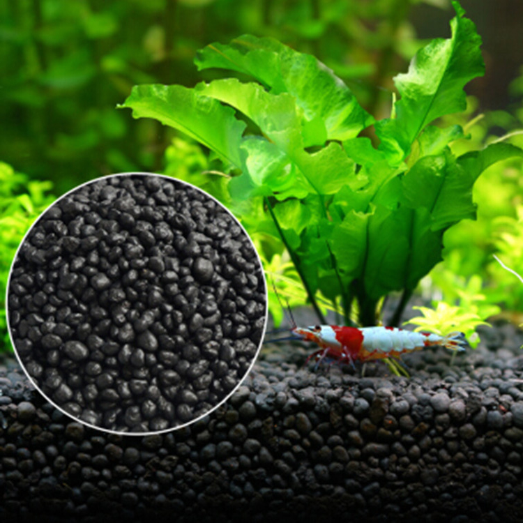 Planted Aquarium Equipment - Acquario semi di piante terreno acquario