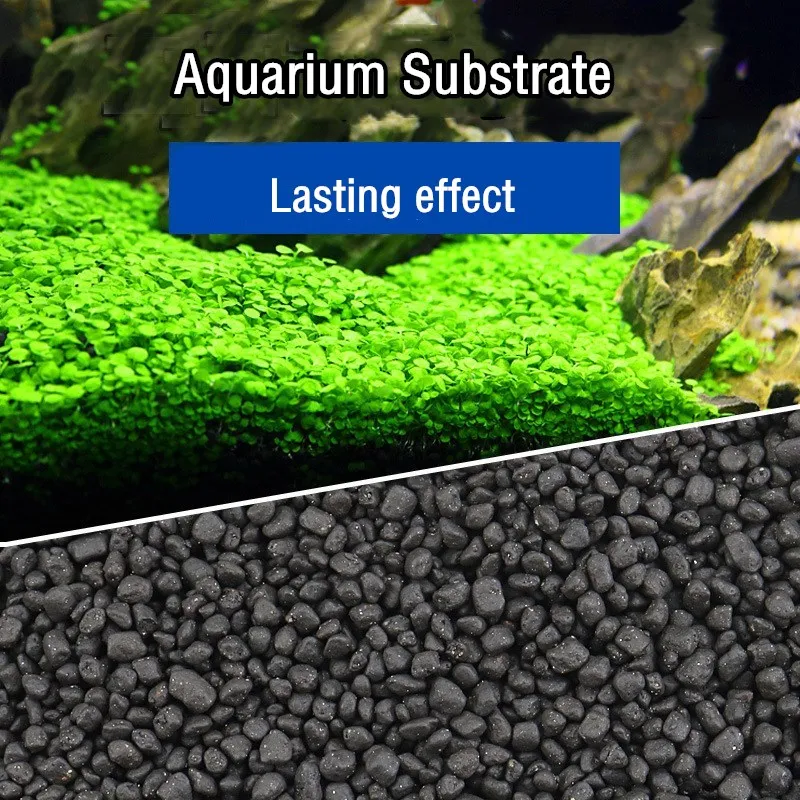 500g Substrato per Acquario, F - Aquarium Plant Nutrients recensione e prezzo