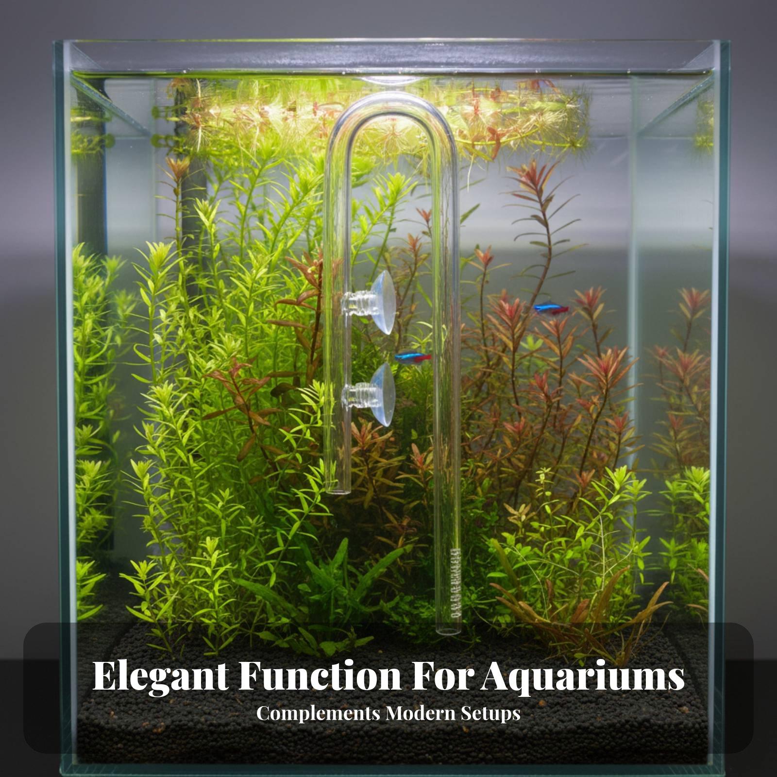 Elegante Tubo di Ingresso Acqu - Aquarium Plant Nutrients recensione e prezzo