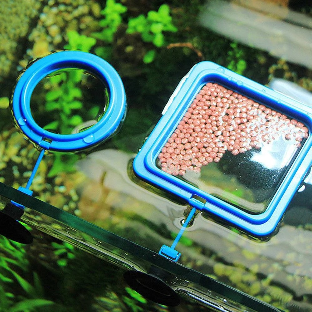 Nuovo anello di alimentazione  - Aquarium Plant Nutrients recensione e prezzo