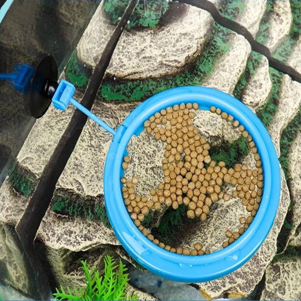 Nuovo anello di alimentazione  - Aquarium Plant Nutrients recensione e prezzo