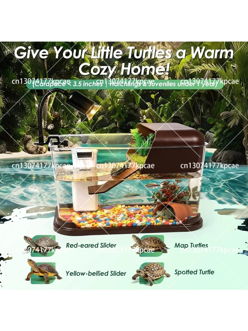 Kit Acquario per Tartarughe co - Planted Aquarium Starter Kit recensione e prezzo
