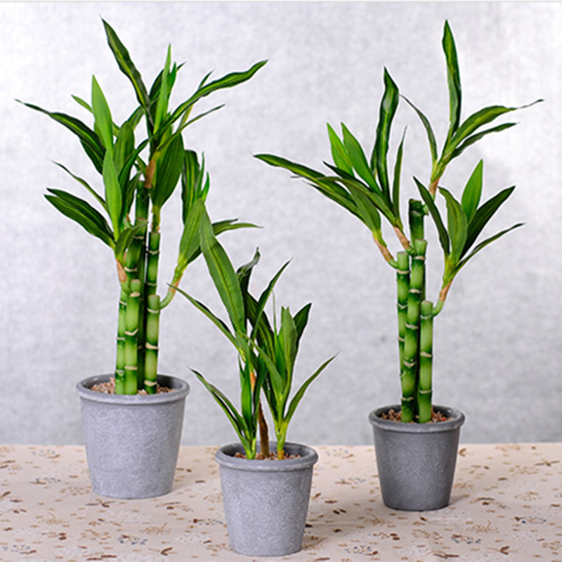 Nuova Pianta Artificiale di Ba - Aquarium Plants Book recensione e prezzo