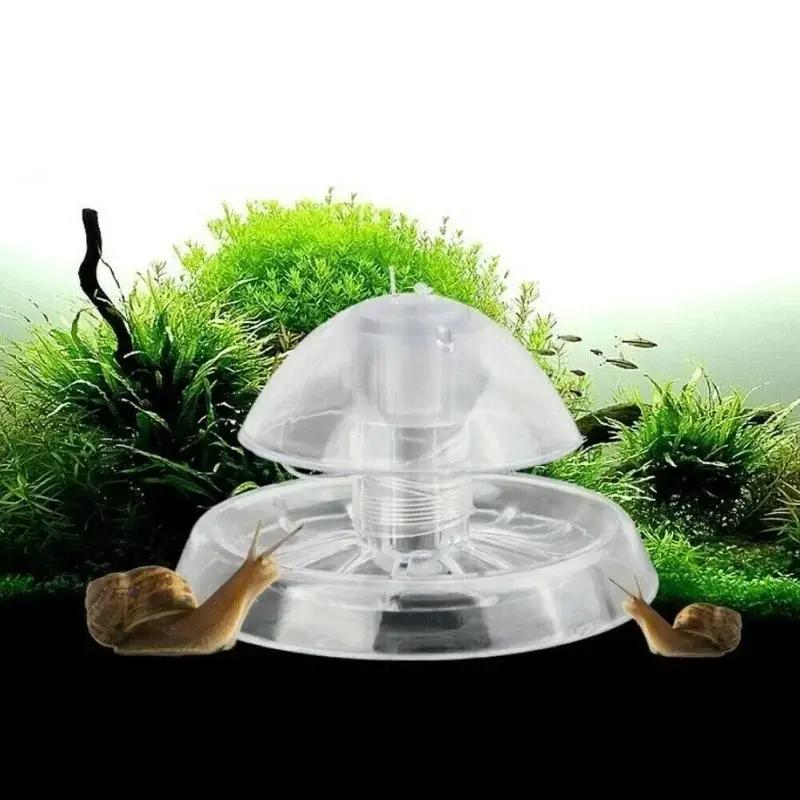 Nuova Trappola per Lumache in  - Aquarium Planted Fish recensione e prezzo