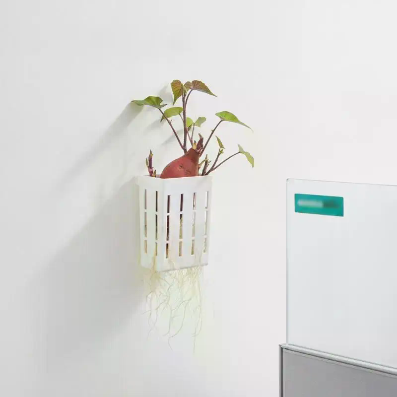 1 Pezzo Cestino di Supporto Id - Aquarium Planted Fish recensione e prezzo