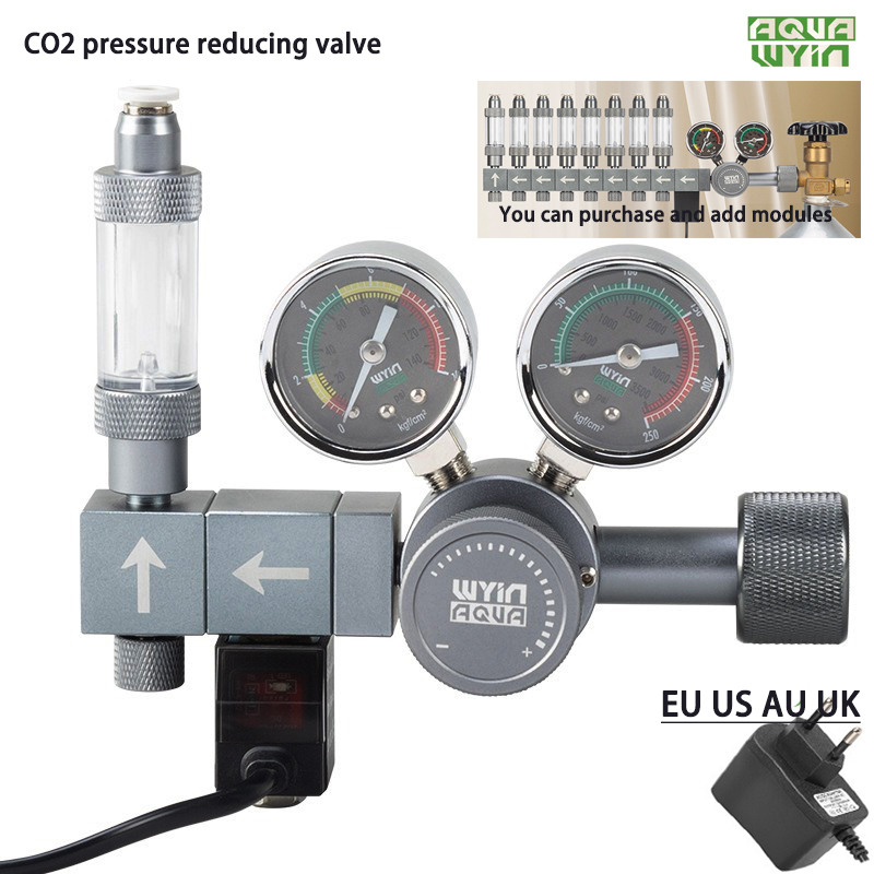 Regolatore di pressione CO2 pe - Co2 Regulator Dual Stage recensione e prezzo