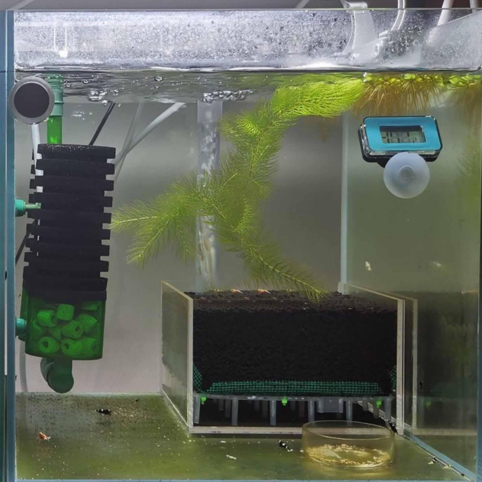 Scatola Filtro per Acquario in - Planted Aquarium Undergravel Filter recensione e prezzo