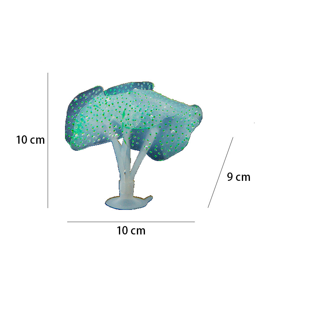 1 pz anemone luminoso pianta a - Aquarium Planted Fish recensione e prezzo