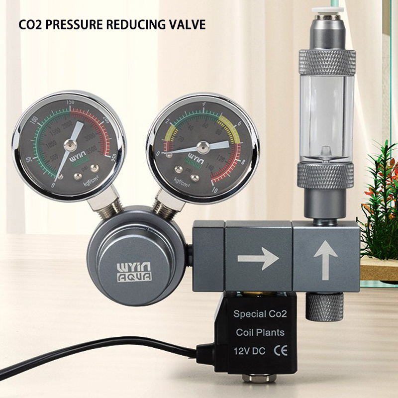 Regolatore CO2 per Acquario co - Co2 Regulator Dual Stage recensione e prezzo