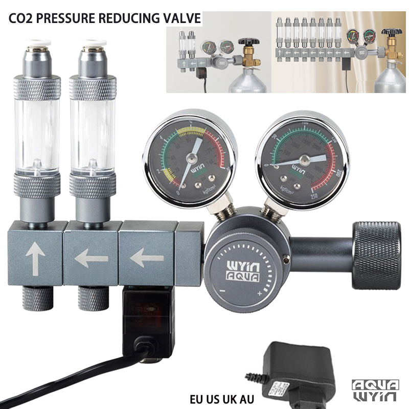 Regolatore CO2 DIY per Acquari - Co2 Regulator Dual Stage recensione e prezzo