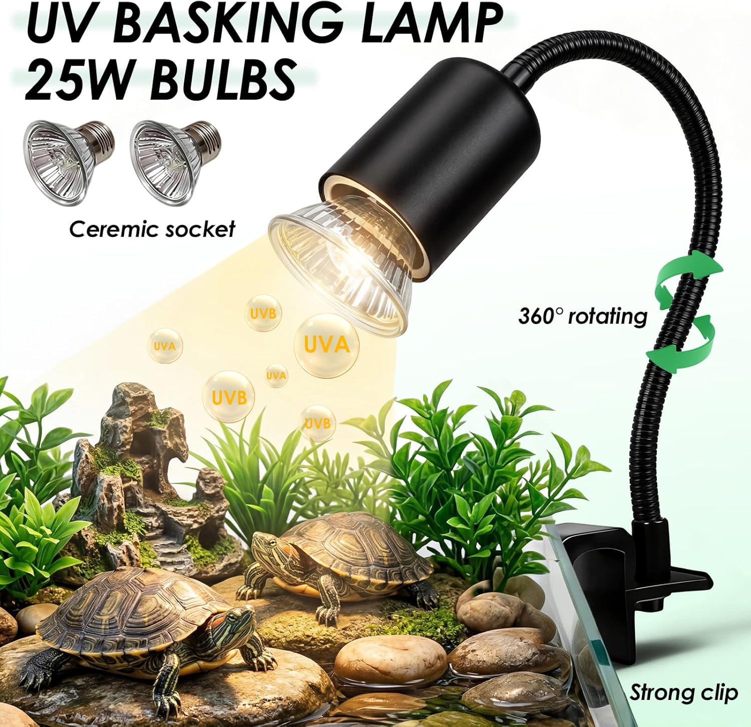 Kit Iniziale per Tartarughe, A - Planted Aquarium Starter Kit recensione e prezzo