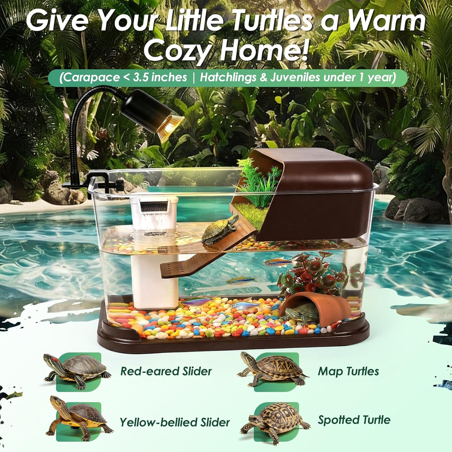 Kit Iniziale per Tartarughe, A - Planted Aquarium Starter Kit recensione e prezzo