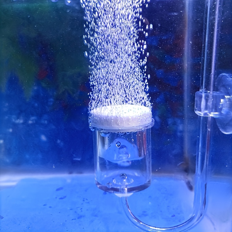 Acquario Vetro CO2 Atomizzator - Planted Aquarium Equipment recensione e prezzo