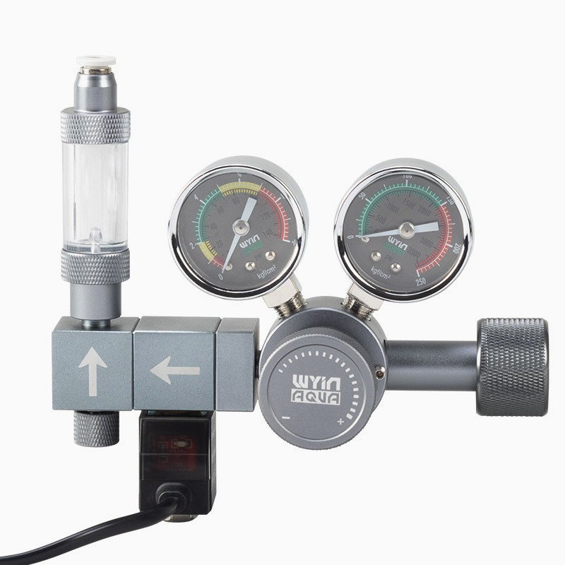 Regolatore CO2 per Acquario co - Co2 Regulator Dual Stage recensione e prezzo