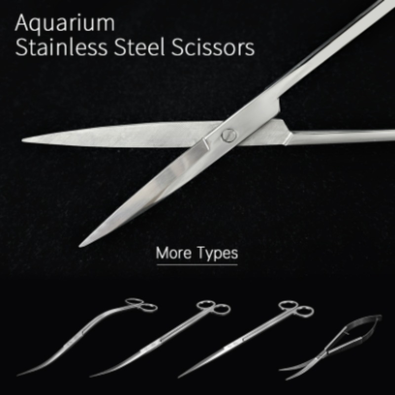 Forbici per Piante Acquatiche  - Planted Aquarium Equipment recensione e prezzo
