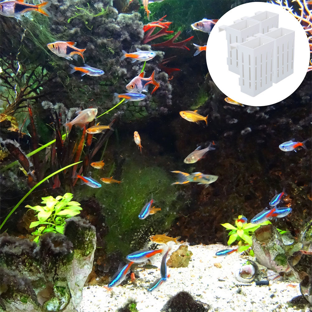 4 Pezzi di Supporti per Piante - Aquarium Plant Nutrients recensione e prezzo