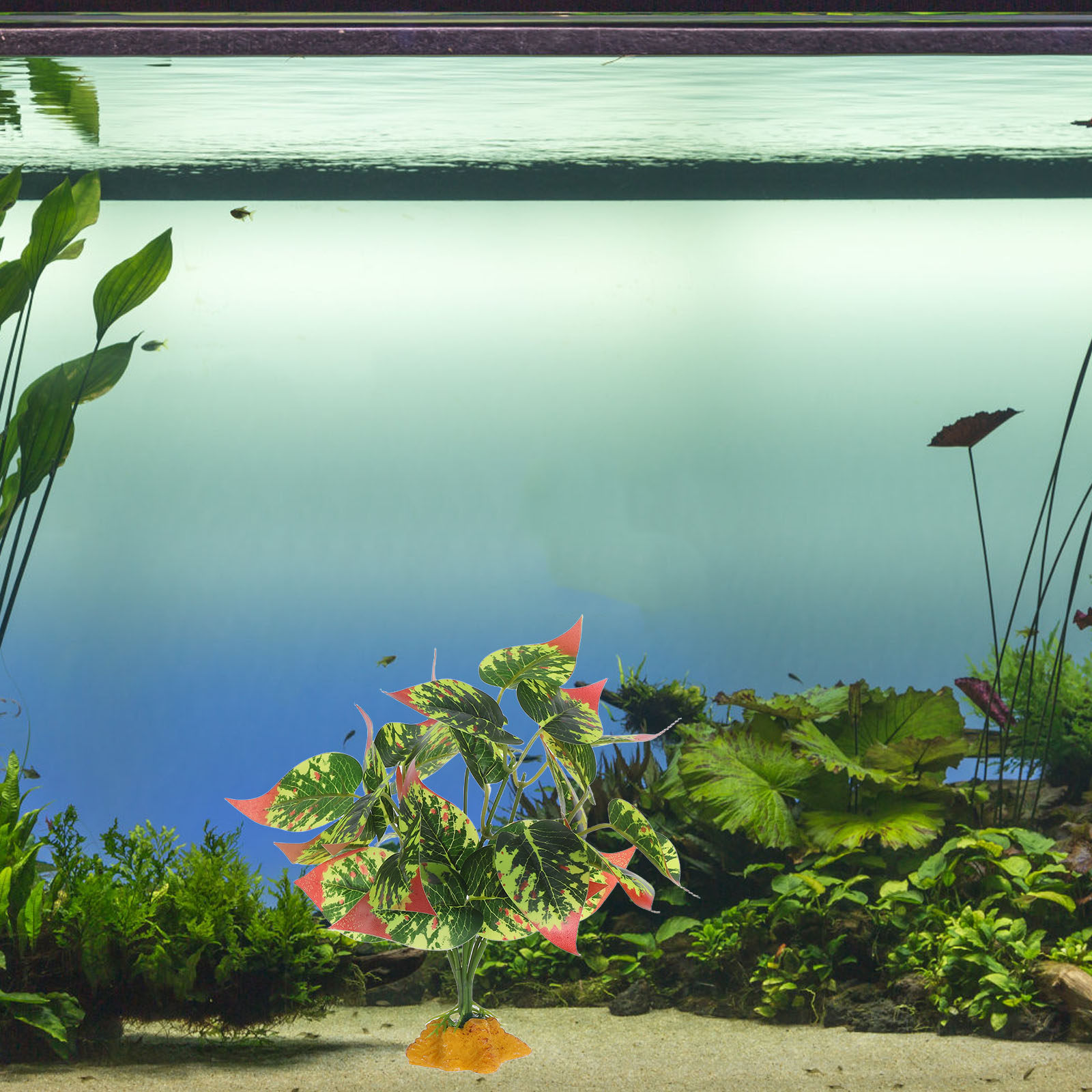 Piante Artificiali in ABS Real - Aquarium Planted Fish recensione e prezzo