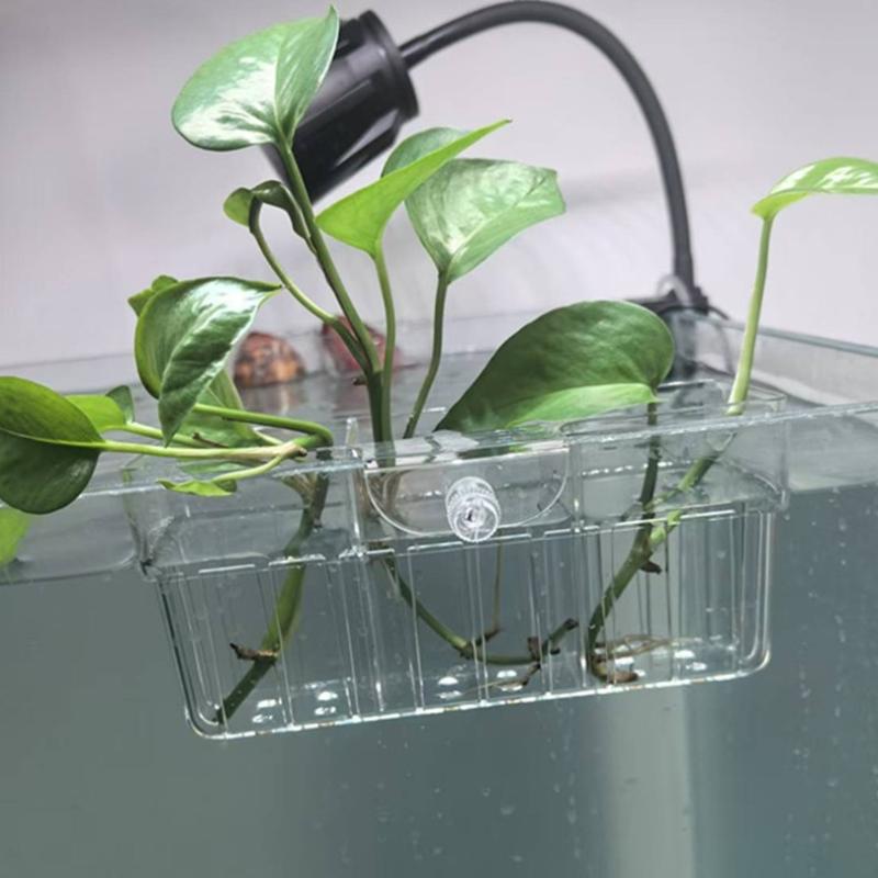 Cestino per Piante Idroponiche - Aquarium Planted Fish recensione e prezzo