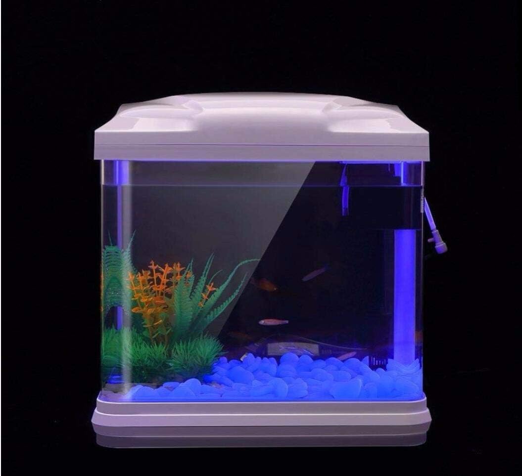 Rocce per acquari che si illum - Planted Aquarium Equipment recensione e prezzo