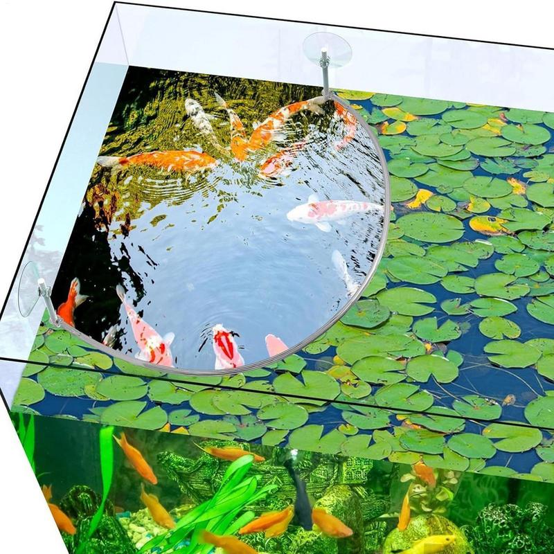 Anello di alimentazione per pe - Planted Aquarium Equipment recensione e prezzo