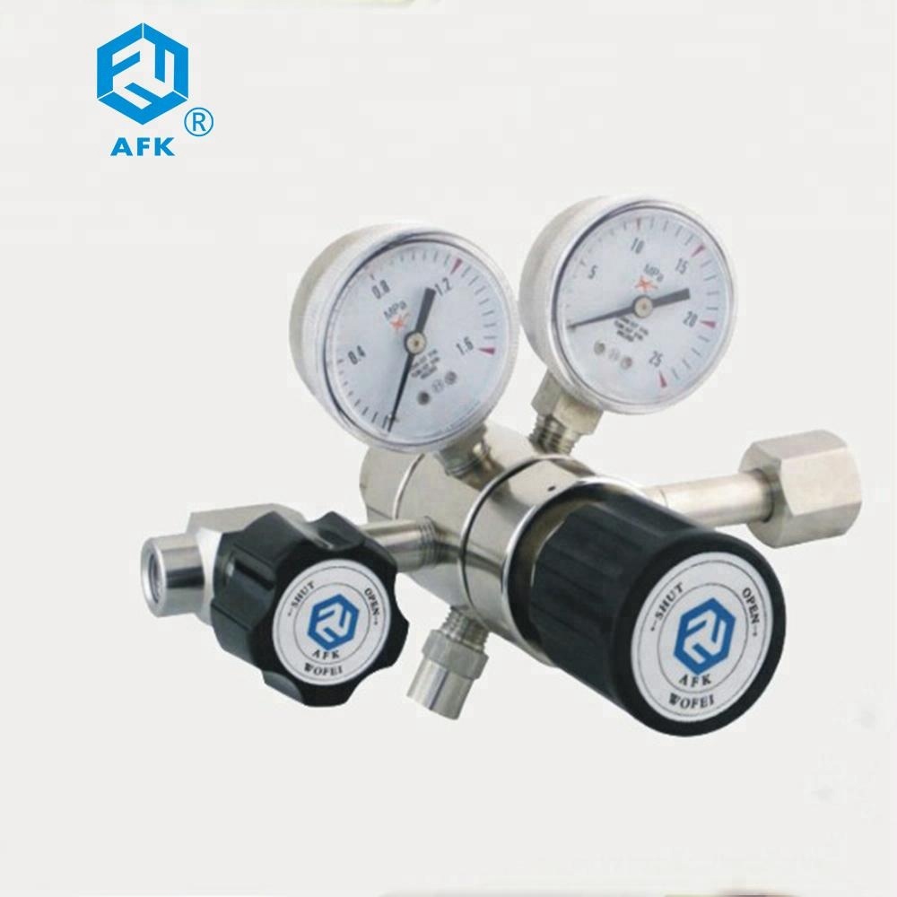 Regolatore di Pressione Gas CO - Co2 Regulator Dual Stage recensione e prezzo