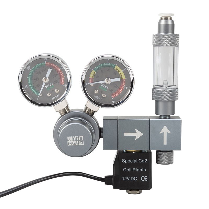 Regolatore CO2 per Acquario co - Co2 Regulator Dual Stage recensione e prezzo