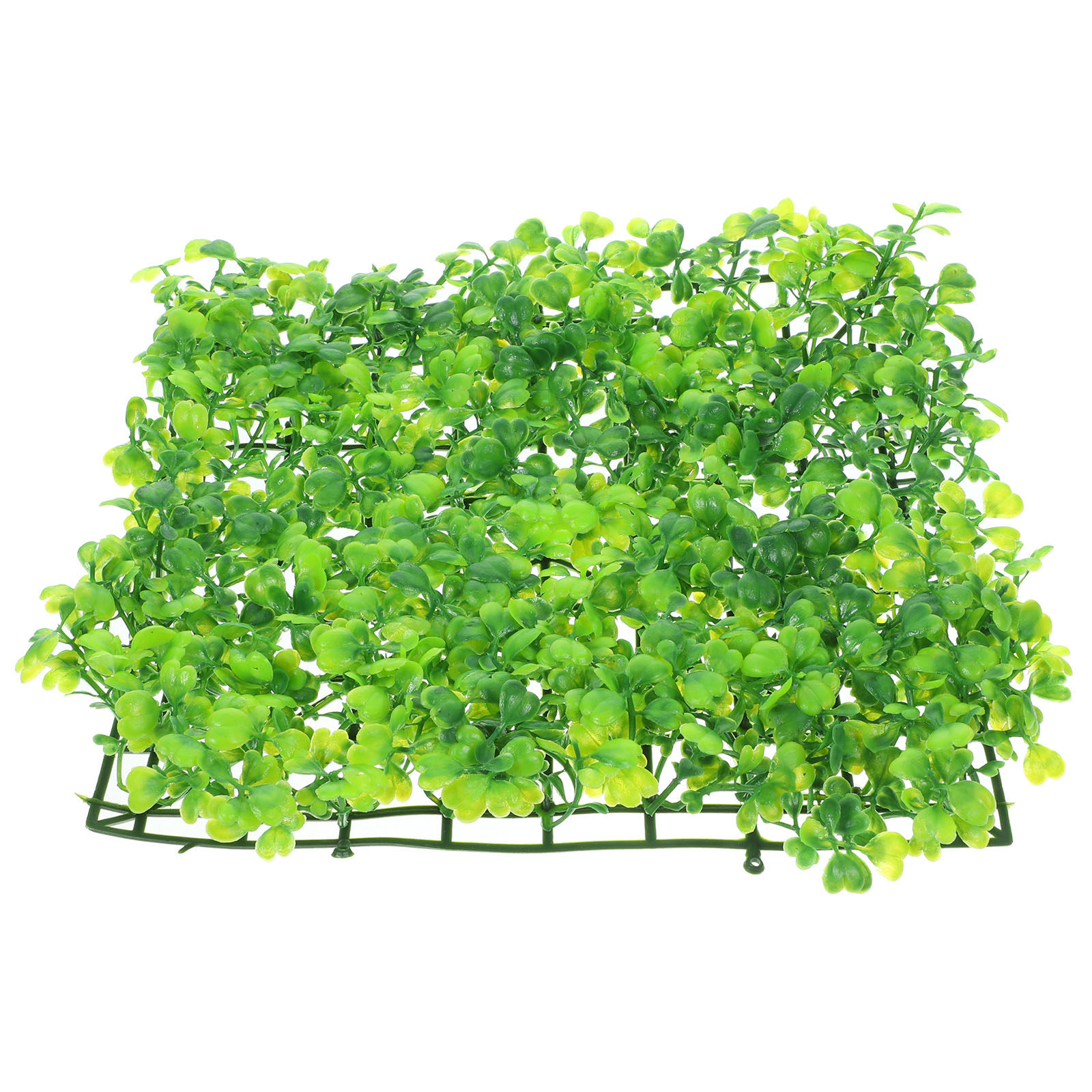Piante Artificiali per Acquari - Aquarium Planted Fish recensione e prezzo