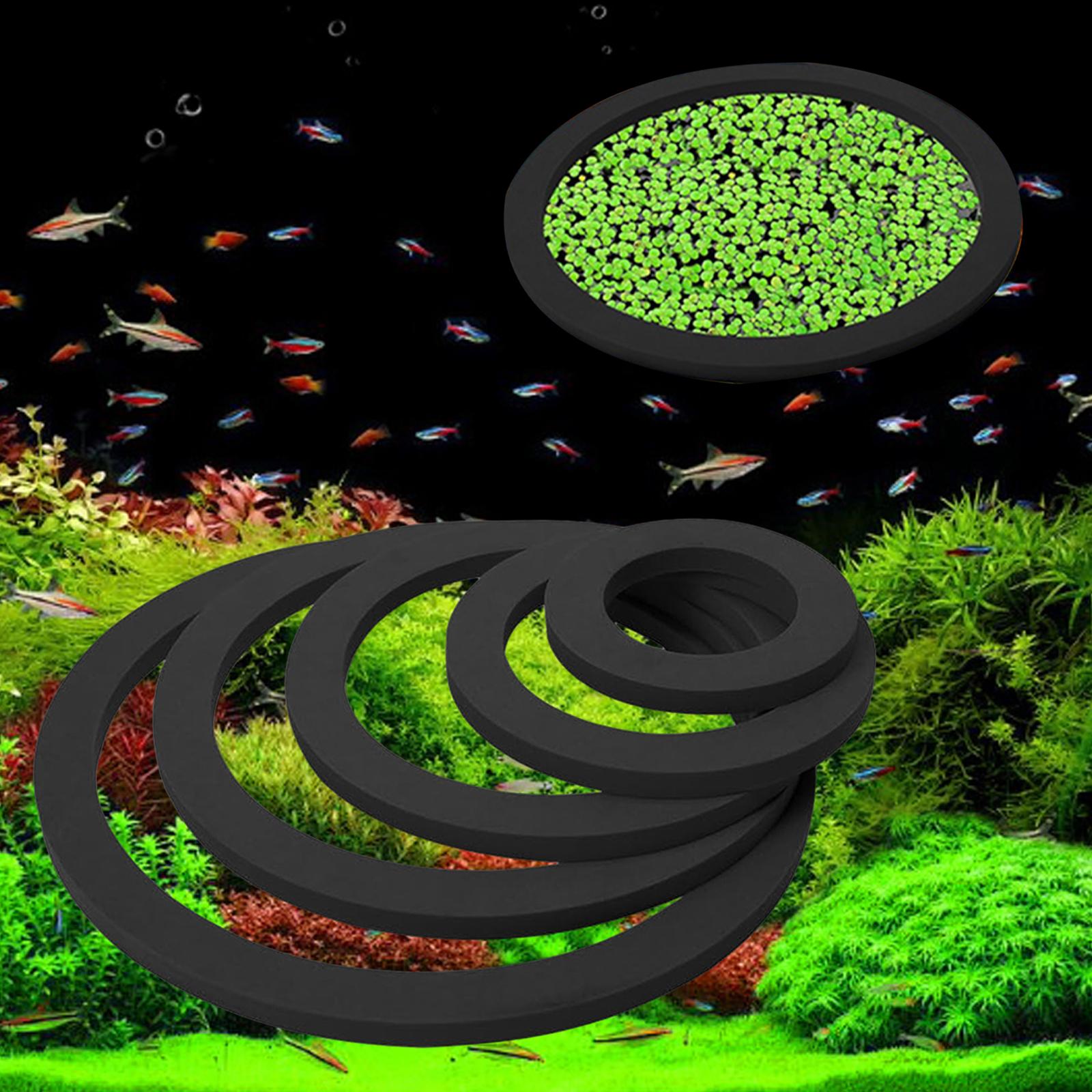 Anello Galleggiante per Piante - Aquarium Plant Nutrients recensione e prezzo
