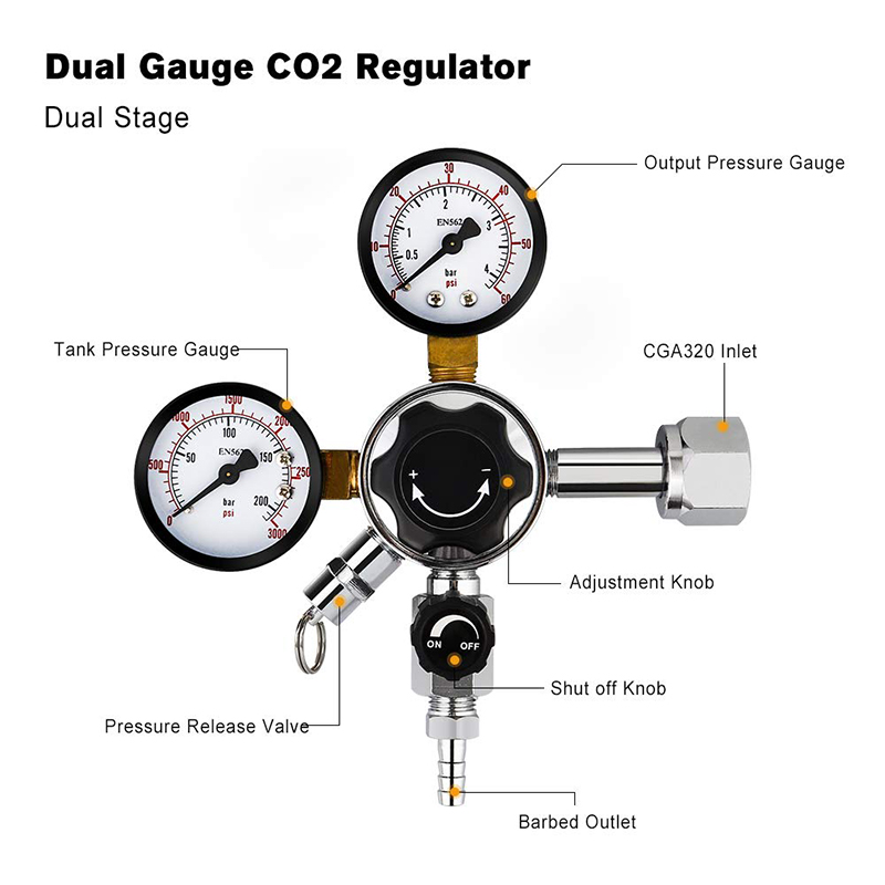 Regolatore di pressione del re - Co2 Regulator Dual Stage recensione e prezzo