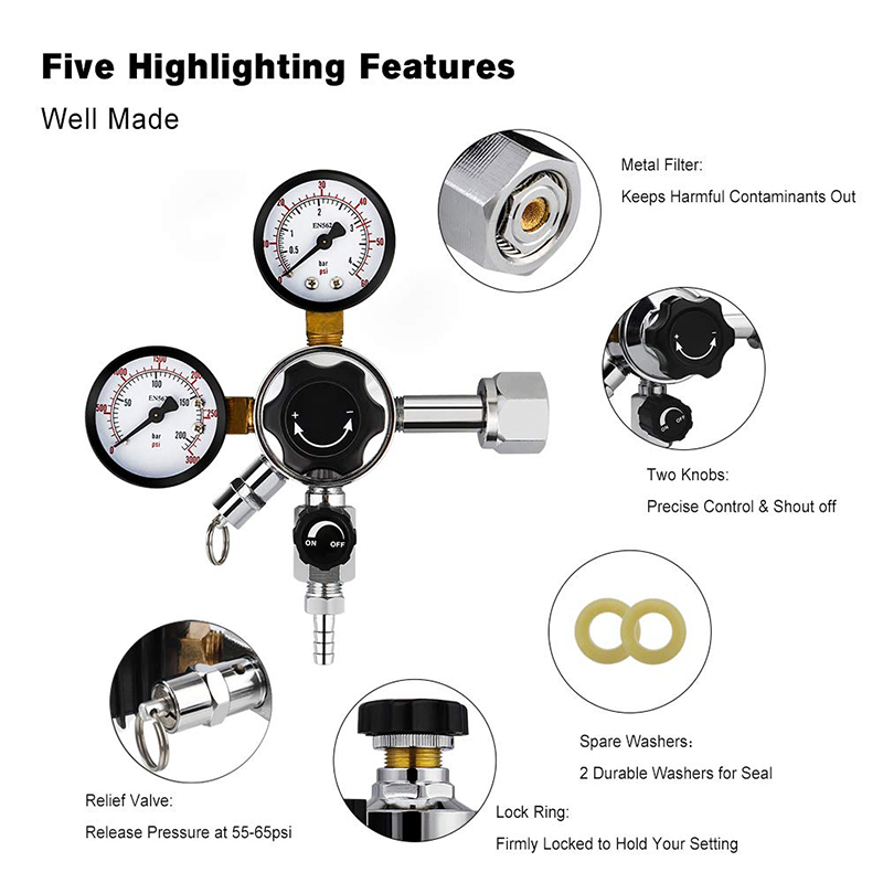 Regolatore di pressione del re - Co2 Regulator Dual Stage recensione e prezzo
