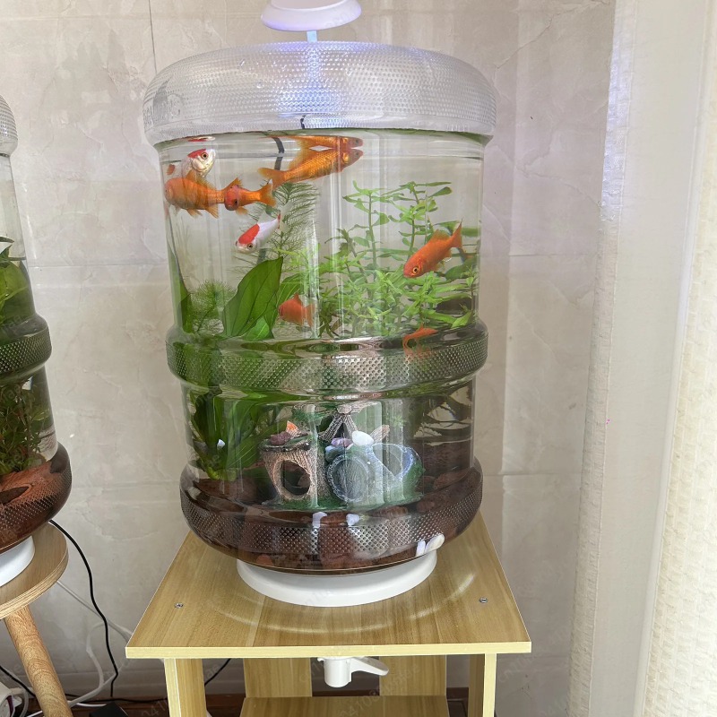 Configurazione istantanea Acqu - Aquarium Planted Tank Setup recensione e prezzo