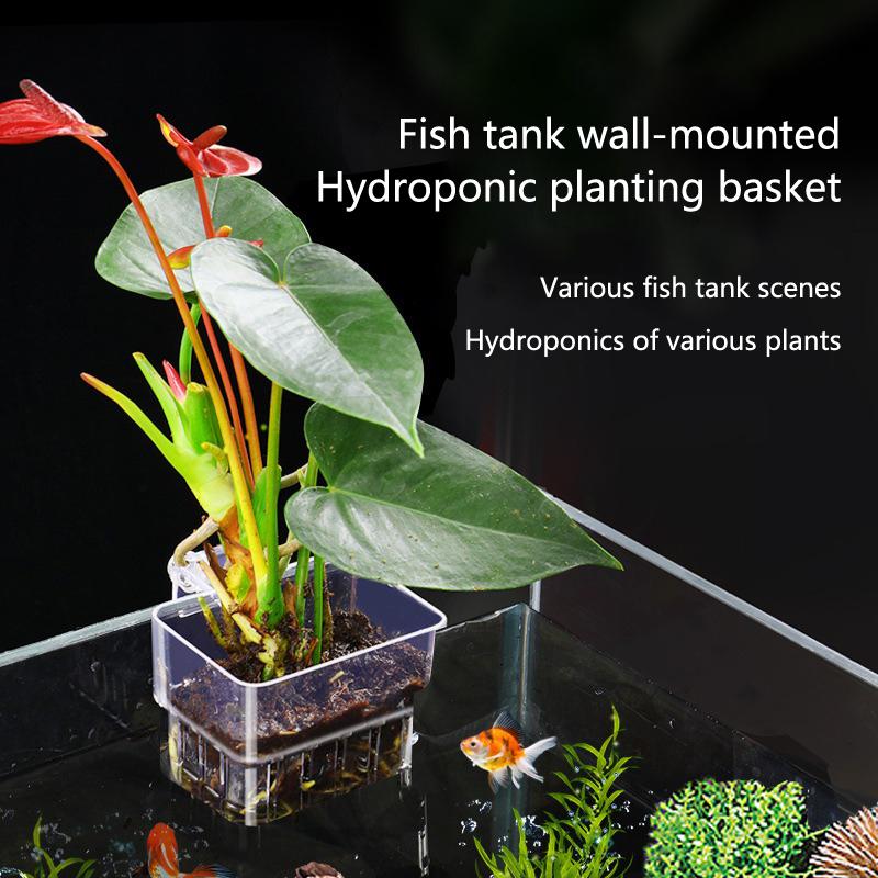 Cestelli per Coltivazione Idro - Aquarium Planted Tank Setup recensione e prezzo