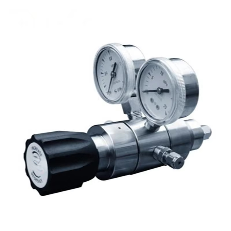 Regolatore di Pressione Co2 a  - Co2 Regulator Dual Stage recensione e prezzo