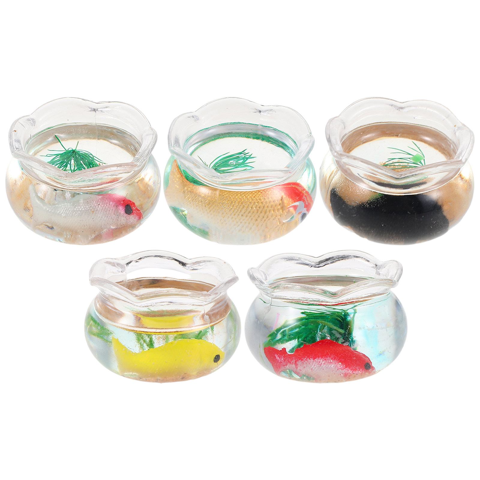 5 Pezzi di Mini Acquari Rotond - Aquarium Planted Fish recensione e prezzo